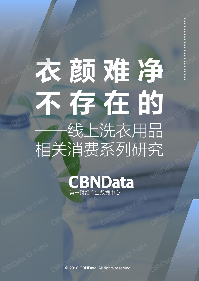 衣颜难净不存在的：线上洗衣用品相关消费系列研究.pdf_第1页