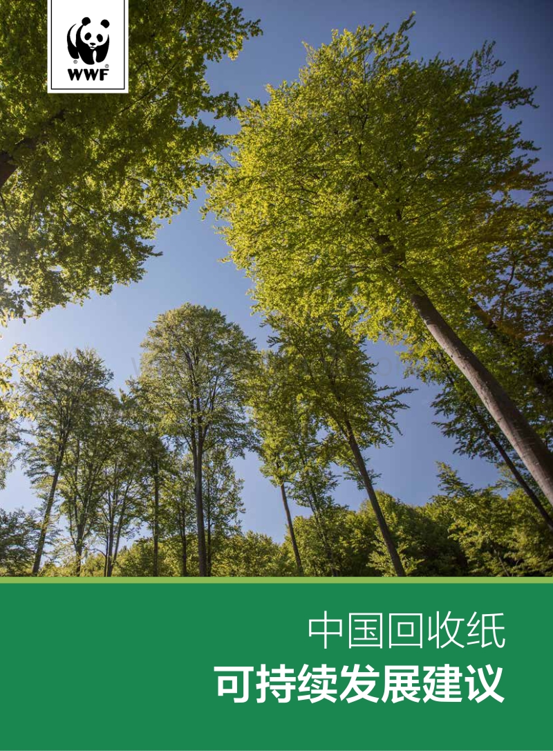 中国回收纸可持续发展建议.pdf_第1页