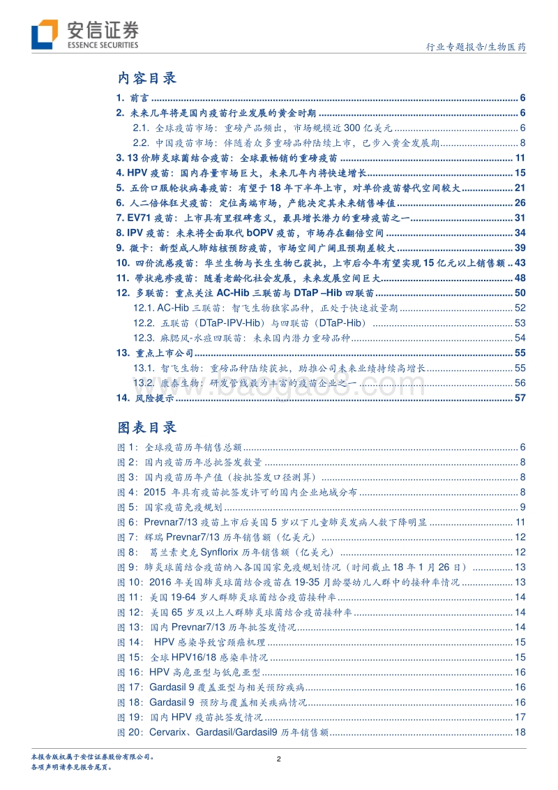 疫苗行业专题：从全球化视野，看国内重磅疫苗市场空间.pdf_第2页