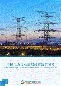 2018年4月中国电力行业高层投资决策参考.pdf