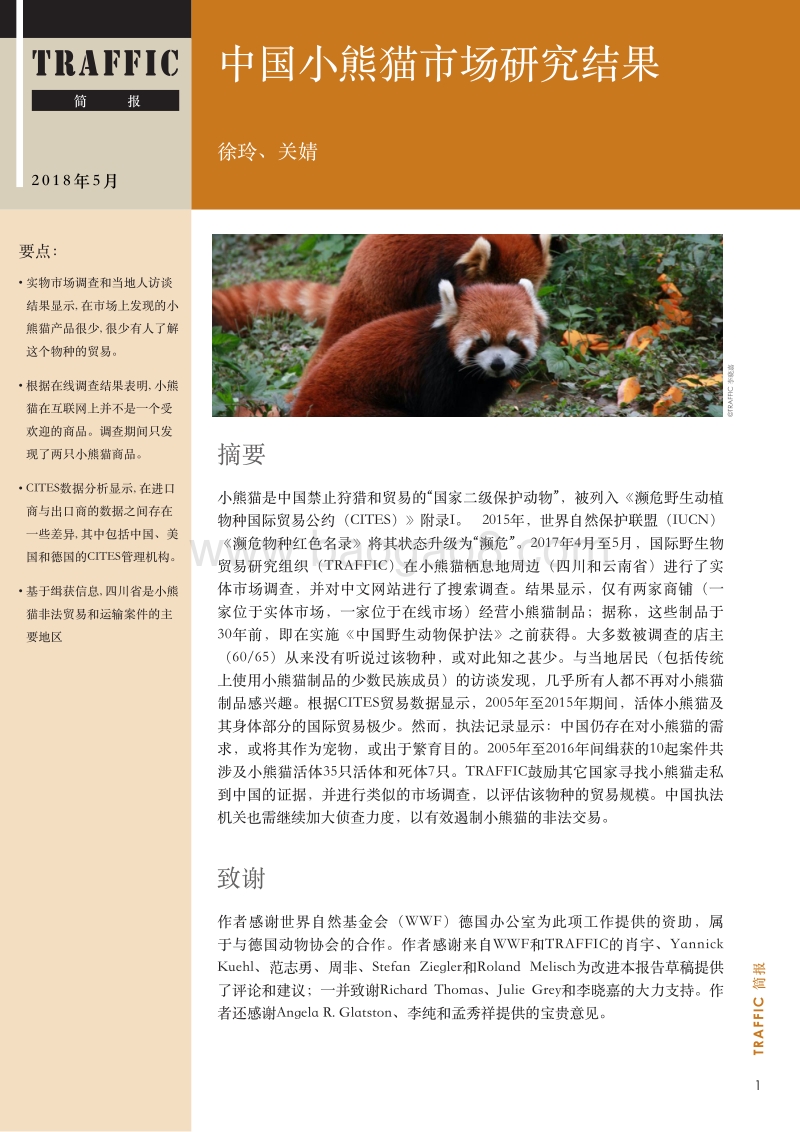 中国小熊猫市场研究结果.pdf_第1页