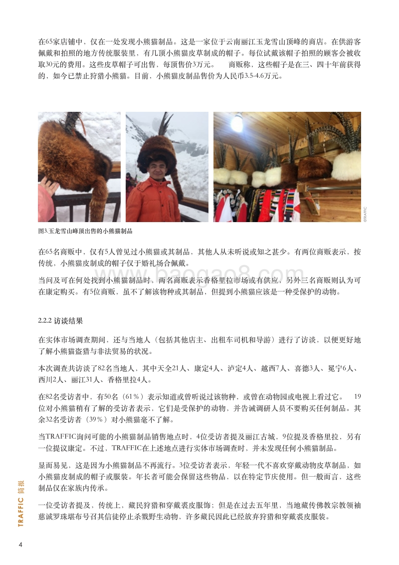 中国小熊猫市场研究结果.pdf_第4页