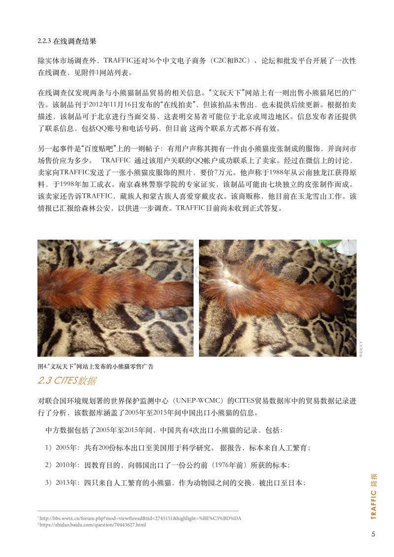 中国小熊猫市场研究结果.pdf_第5页
