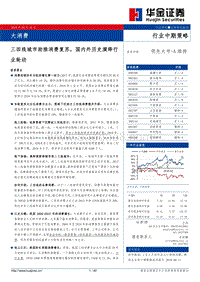 大消费行业中期策略：三四线城市助推消费复苏，国内外历史演绎行业轮动.pdf