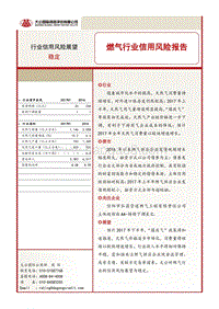 燃气行业信用风险报告.pdf
