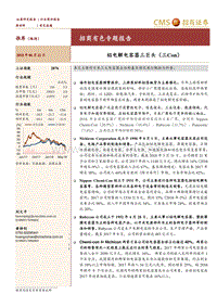 有色专题报告：铝电解电容器三巨头（三Con）.pdf