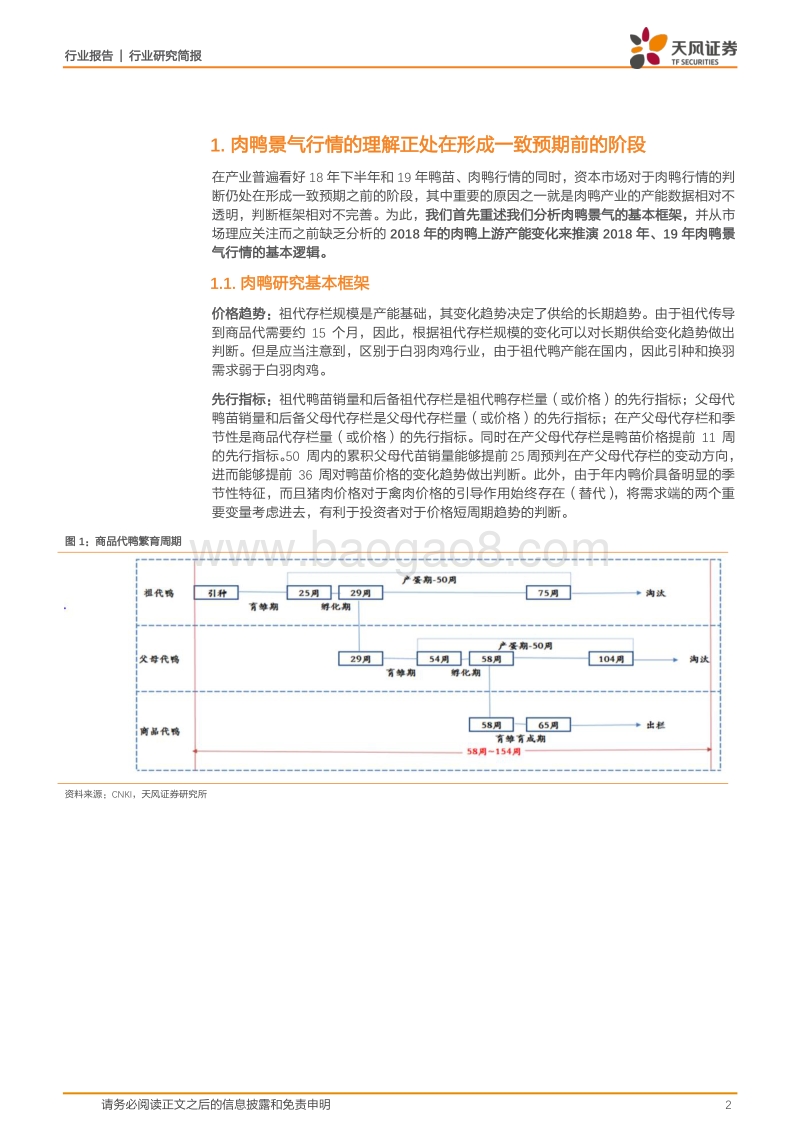 禽产业系列研究之五：被忽视的白羽肉鸭.pdf_第2页