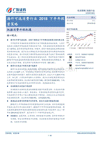 海外可选消费行业2018下半年投资策略：把握消费升级机遇.pdf