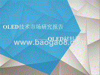 OLED技术市场研究报告.pptx