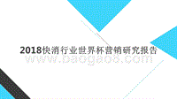 2018快消行业世界杯营销研究报告.pptx
