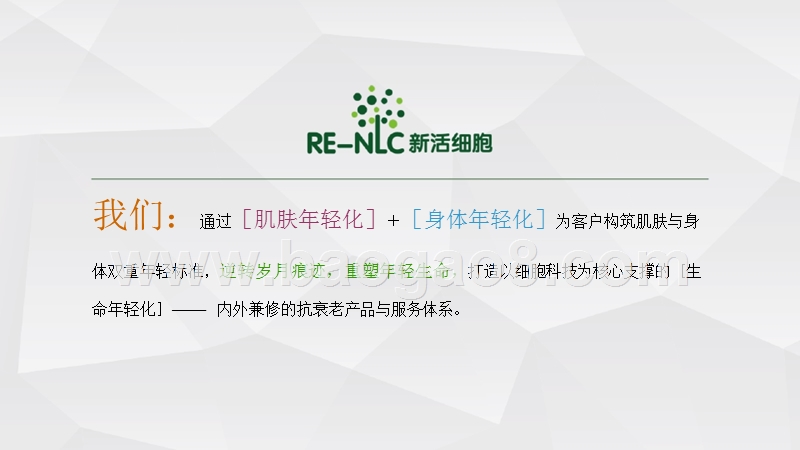 新活细胞项目商业计划书.pptx_第4页
