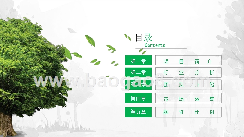 雾化无土栽培种花机器iFlower商业计划书.pptx_第2页