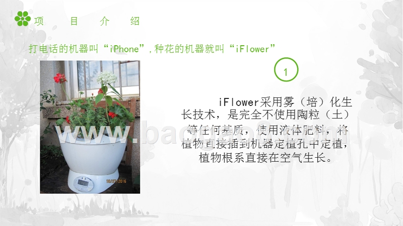 雾化无土栽培种花机器iFlower商业计划书.pptx_第5页