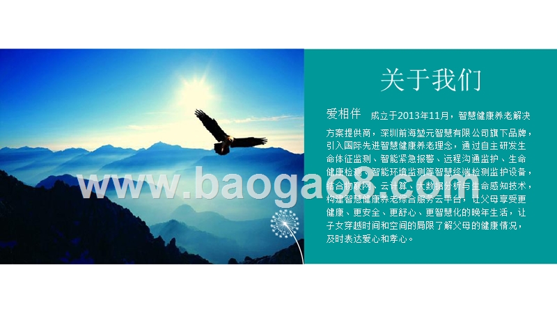 智慧健康养老云平台商业计划书.pptx_第2页
