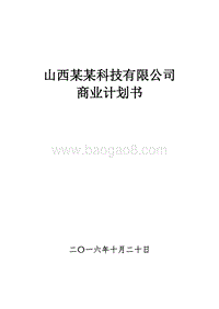 山西某某科技有限公司商业计划书.pdf