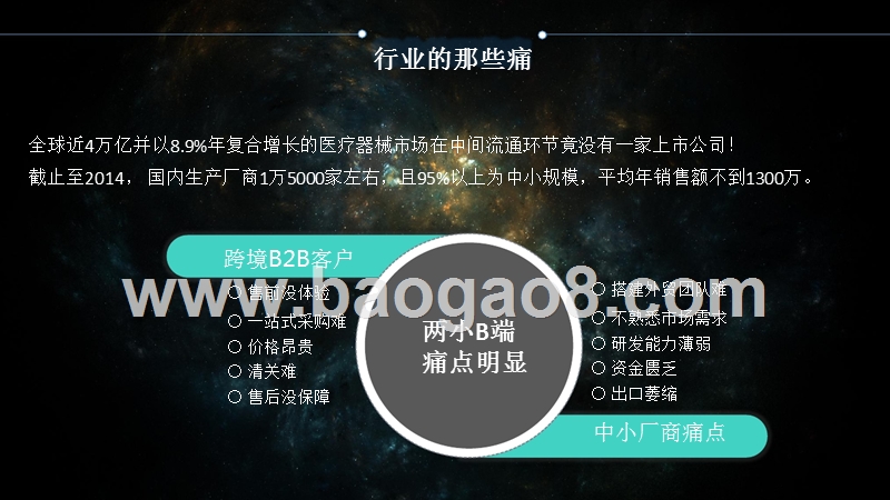 医疗器械跨境B2B商业计划书.pptx_第5页
