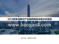 2018竞争战略与产业集群视角深度分析报告.pptx