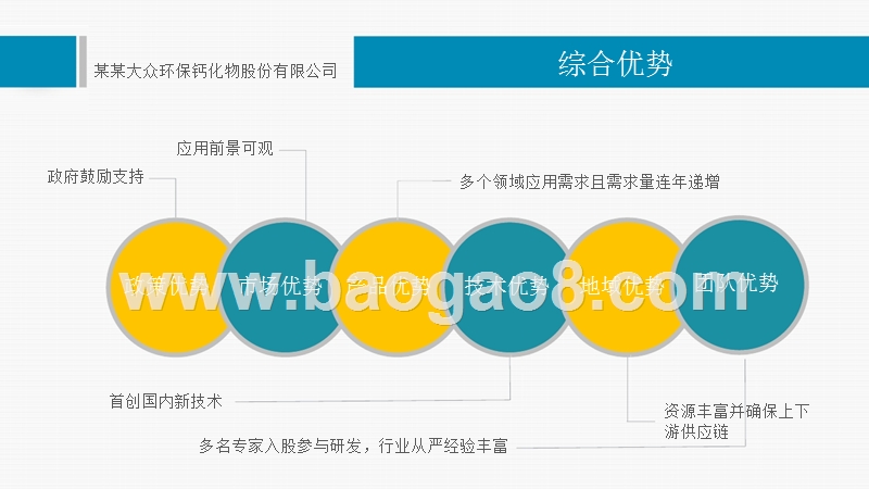 环保钙化物公司商业计划书.pptx_第2页