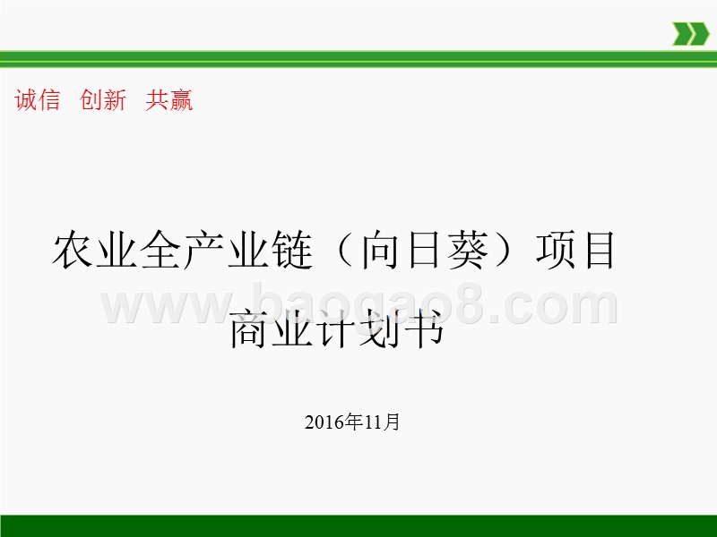 农业全产业链（向日葵）项目商业计划书.pptx_第1页