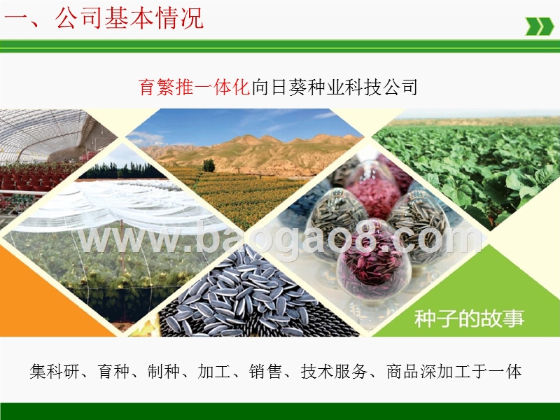 农业全产业链（向日葵）项目商业计划书.pptx_第4页
