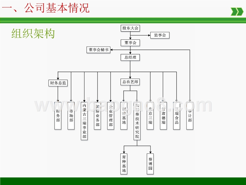农业全产业链（向日葵）项目商业计划书.pptx_第5页