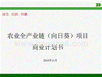 农业全产业链（向日葵）项目商业计划书.pptx