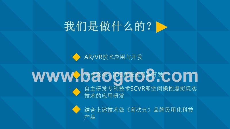 科技有限公司萌次元商业计划书.pptx_第3页