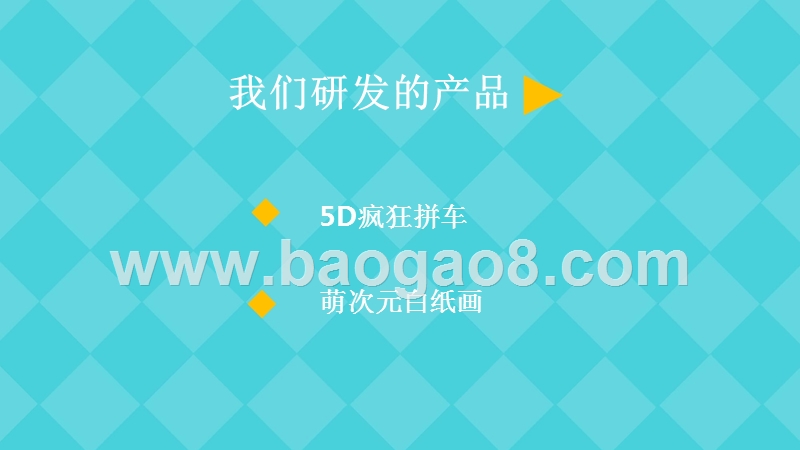 科技有限公司萌次元商业计划书.pptx_第4页