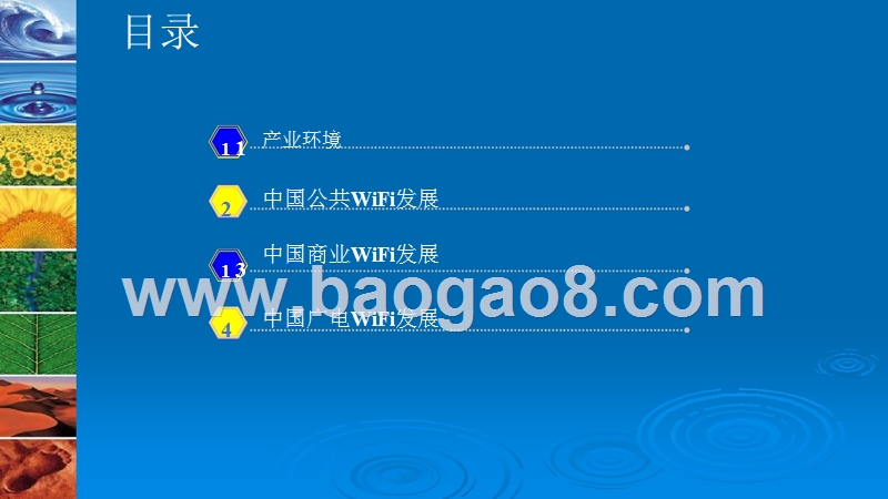 中国WiFi发展研究报告.pptx_第2页