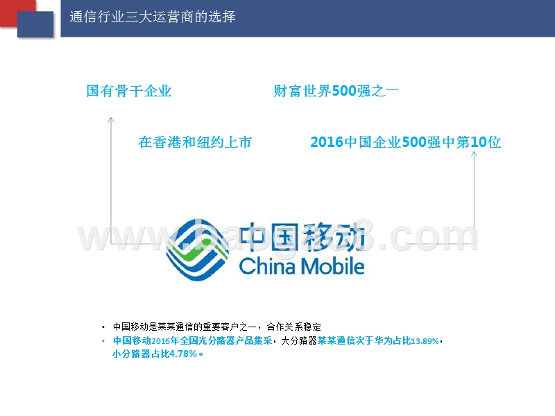 某某通信商业计划书.pptx_第4页