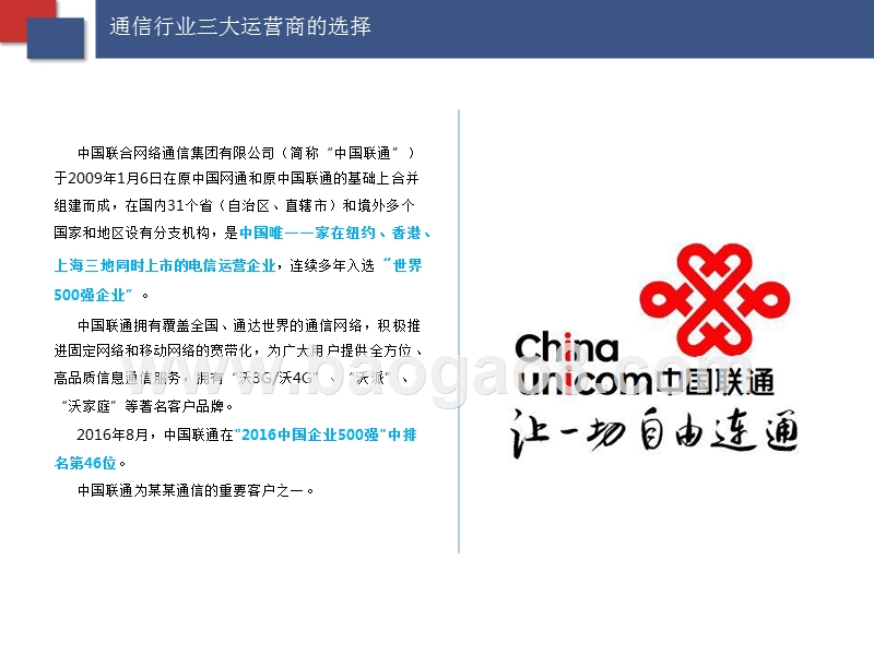 某某通信商业计划书.pptx_第5页