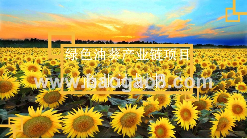 绿色油葵产业链项目商业计划书.pptx_第1页