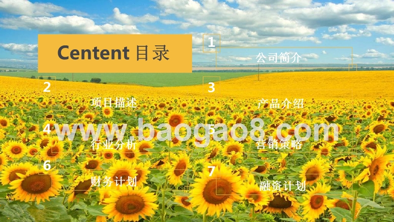 绿色油葵产业链项目商业计划书.pptx_第2页