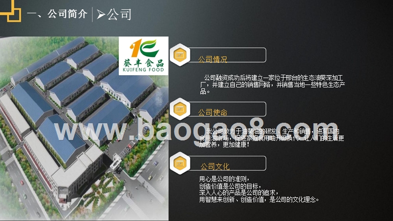 绿色油葵产业链项目商业计划书.pptx_第4页