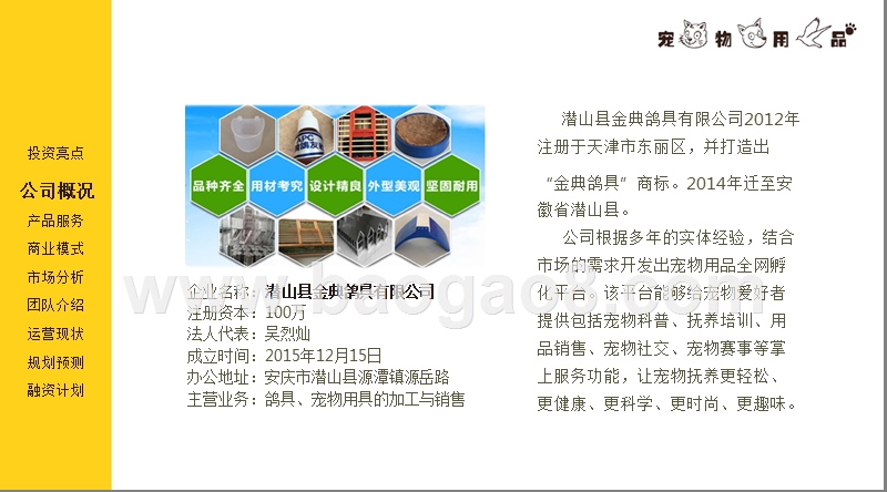 宠物用品互联网服务平台商业计划书.pptx_第4页