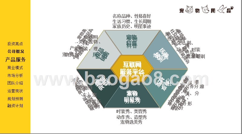 宠物用品互联网服务平台商业计划书.pptx_第5页