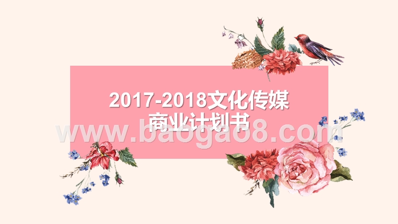 2017-2018文化传媒商业计划书.pptx_第1页