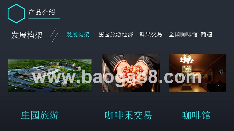咖啡产业链项目商业计划书.pptx_第5页