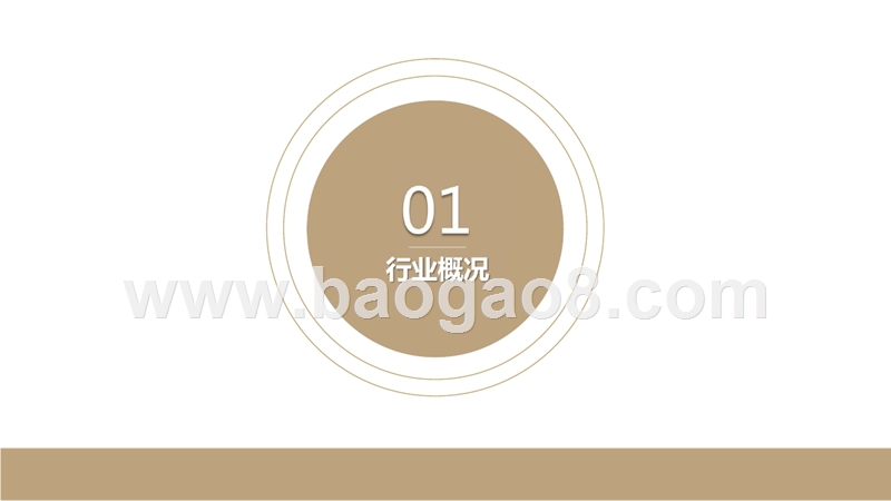 网络科技项目商业计划书.pptx_第3页
