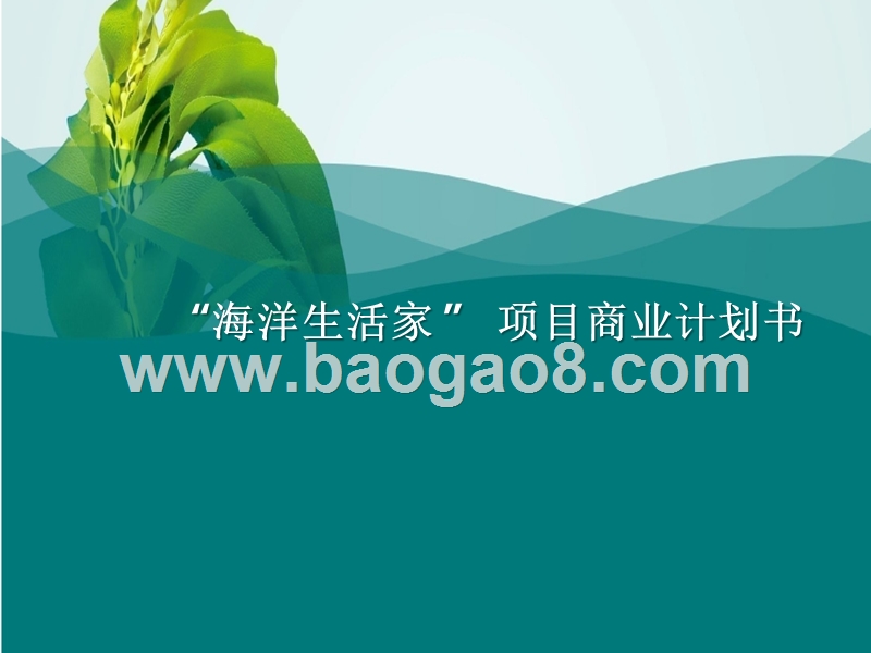 海洋生活家商业计划书.pptx_第1页