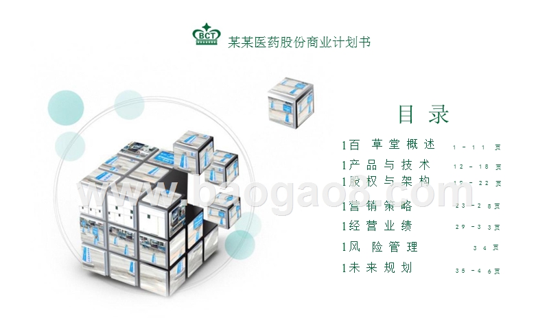 某某医药公司大健康产业体系商业计划书.pptx_第2页