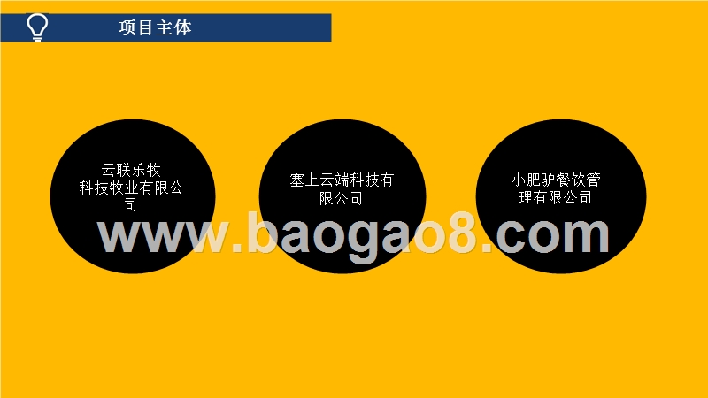 “互联网+驴产业”项目商业计划书.pptx_第4页
