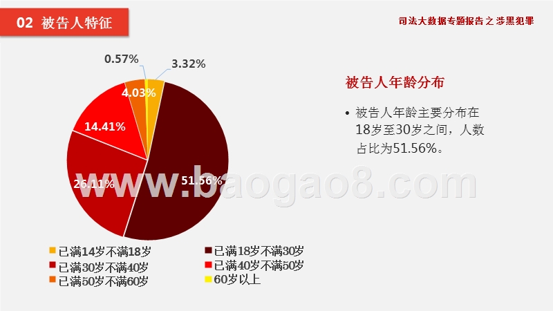 司法大数据涉黑犯罪分析报告.pptx_第5页