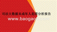 司法大数据未成年人犯罪分析报告.pptx