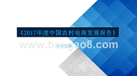 2017-2018中国农村电商发展报告.pptx