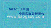 2017-2018中国滑雪客群分析报告.pptx