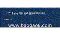 2018年电商渠道草根调研系列报告.pptx