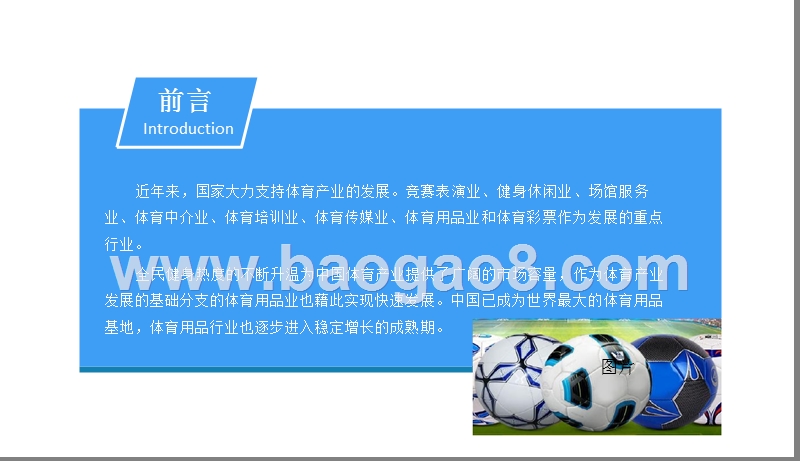 2018中国体育用品行业市场前景研究报告.pptx_第2页