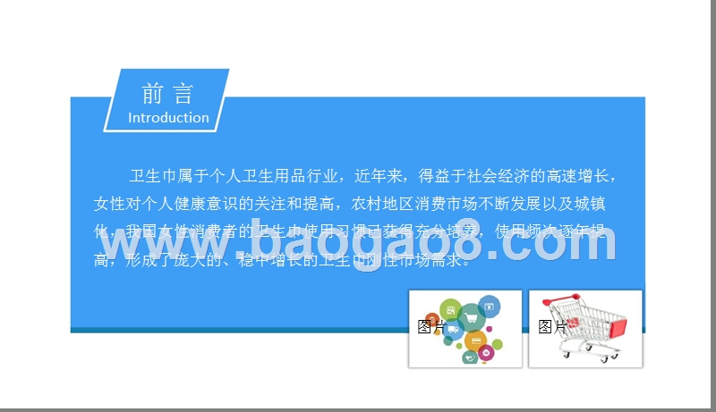 2018中国卫生巾行业市场前景研究报告.pptx_第2页