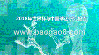2018年世界杯与中国球迷研究报告.pptx